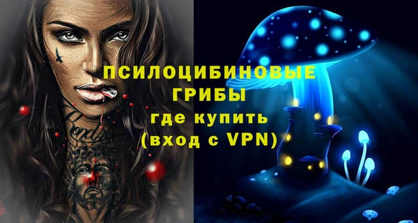 a pvp Осинники